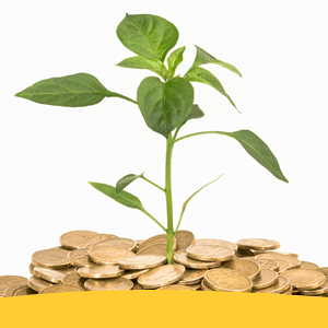 Self Managed Super Fund SMSF - Loans on the Run